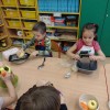 Realizacja ogólnopolskiego program edukacyjnego w oddziałach zerowych „Akademia Kici- Koci”